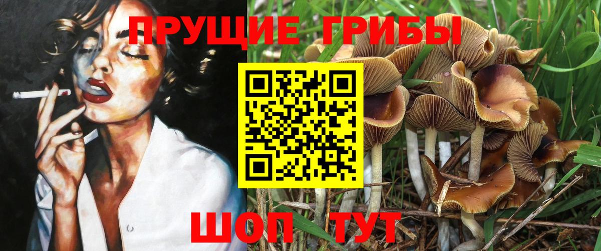 Галлюциногенные грибы ЛСД Шелехов