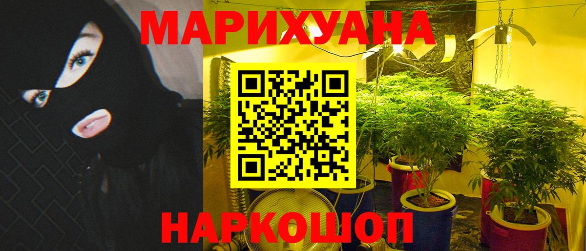 Каннабис планчик Шелехов
